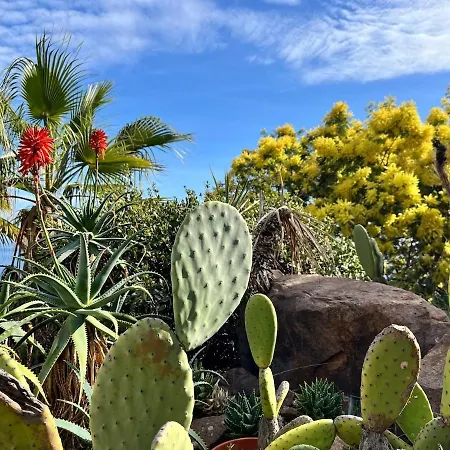 Prestigious With An Incredible Sea View Villa Saint-Raphaël