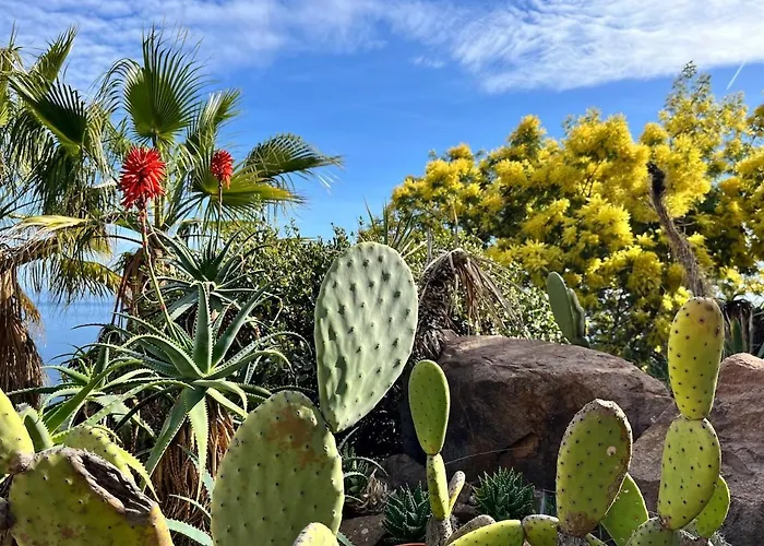 Prestigious With An Incredible Sea View Villa Saint-Raphaël